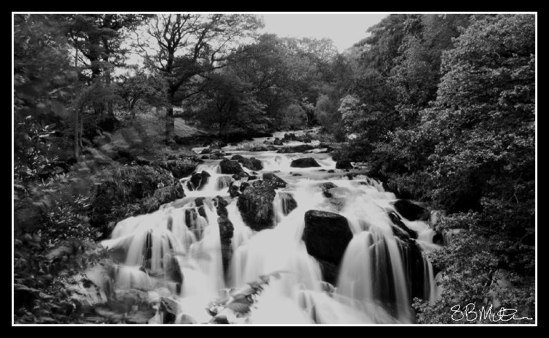 A View of the Swallow Falls: Photograph by Steve Milner A View of the Swallow Falls: Photograph by Steve Milner